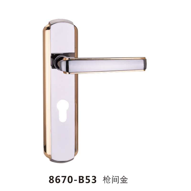 8670-B53 枪间金
